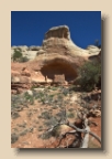 Canyons of the Ancients National Monument 6